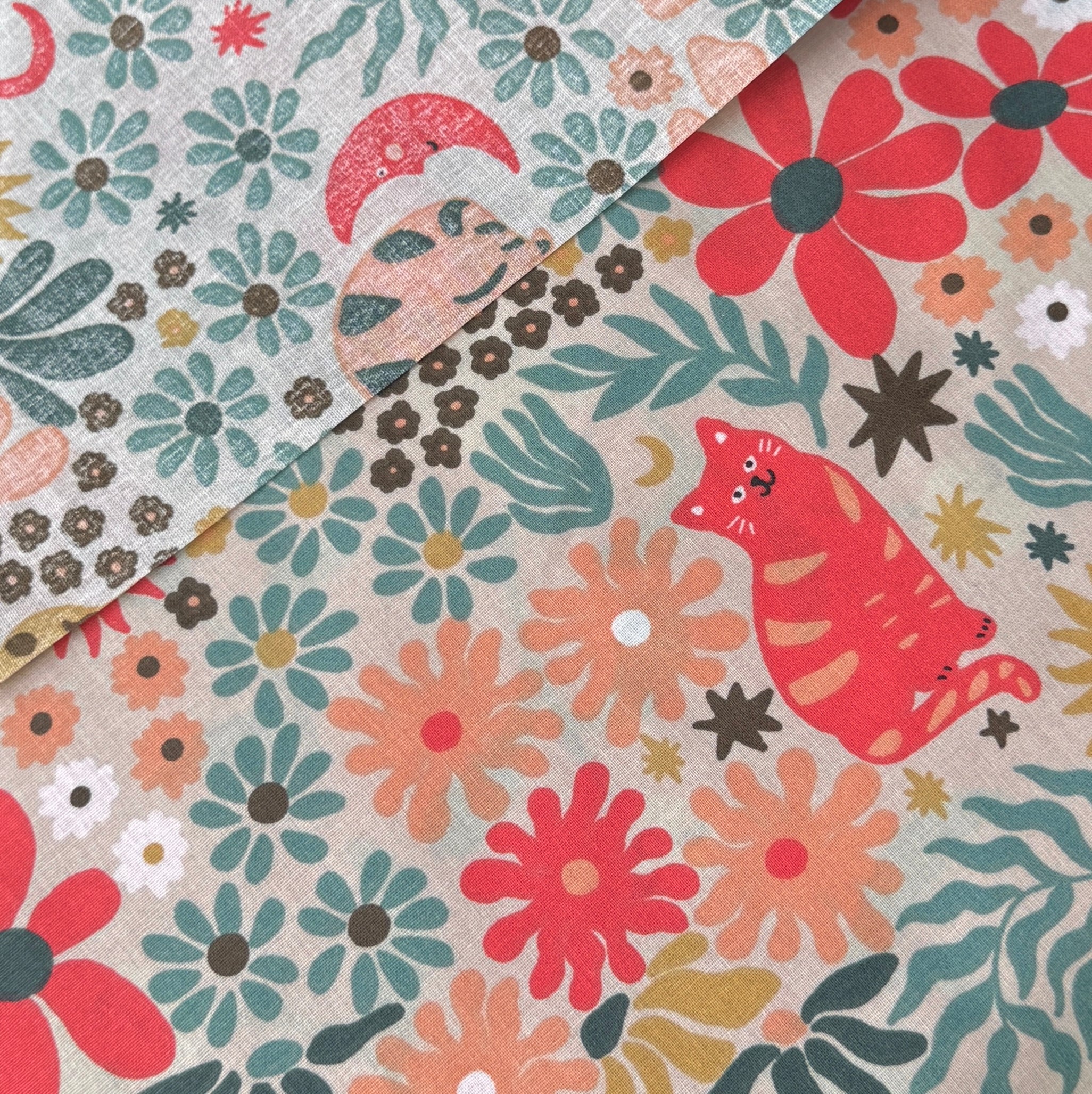 Coated cotton / Graou