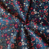 Velours Côtelé 1000 Raies / Barjay Bleu - Rose
