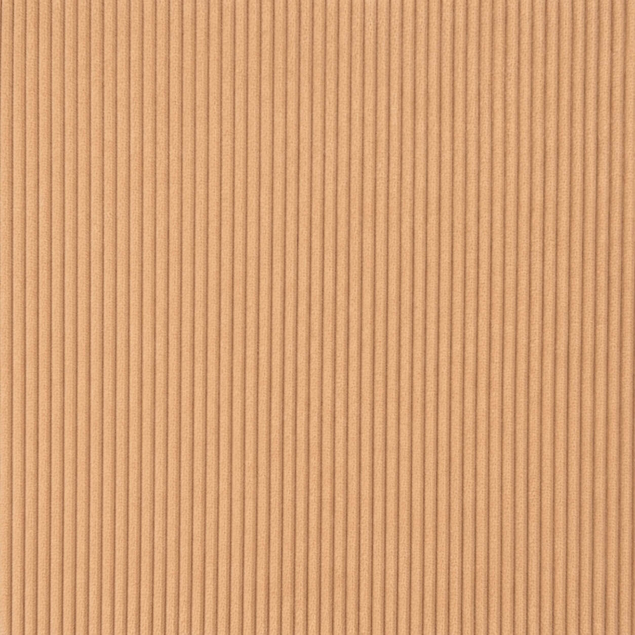 Velours Côtelé 100% Coton Cotis / Camel