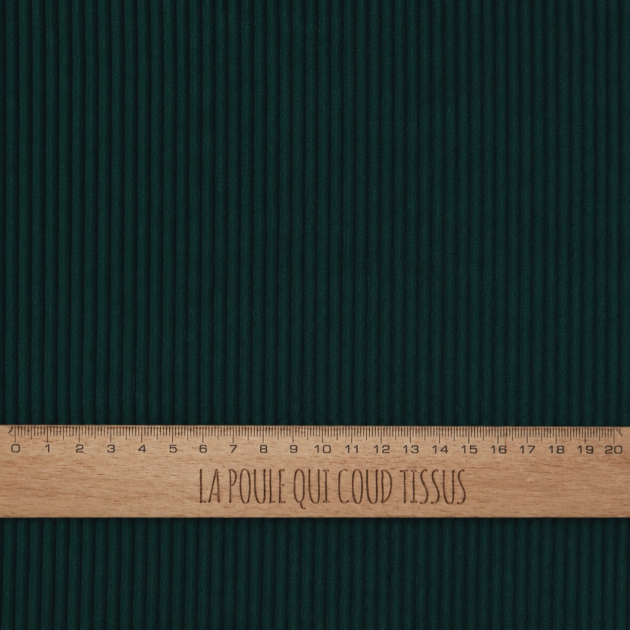 Velours Côtelé 100% Coton Cotis / Salicorne