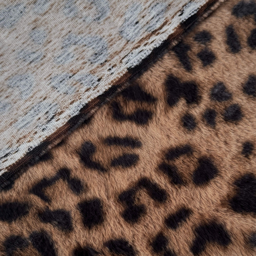 Rabbit / Imprimé Guépard