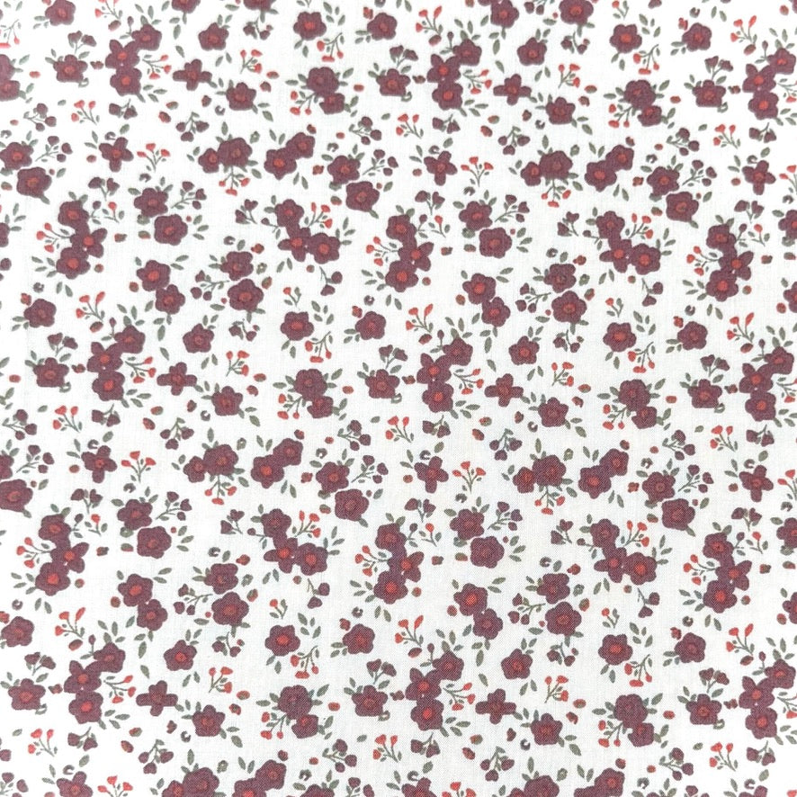 Popeline de Coton / Capri Ecru-Raisin