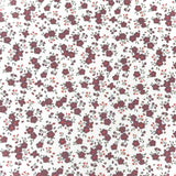 Popeline de Coton / Capri Ecru-Raisin