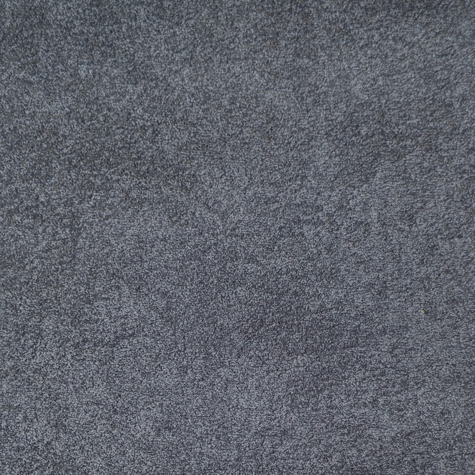 Velours Genova / Souris