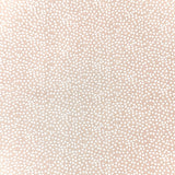 Coupon 60 cm - Coton Imprimé / Tassi Galet