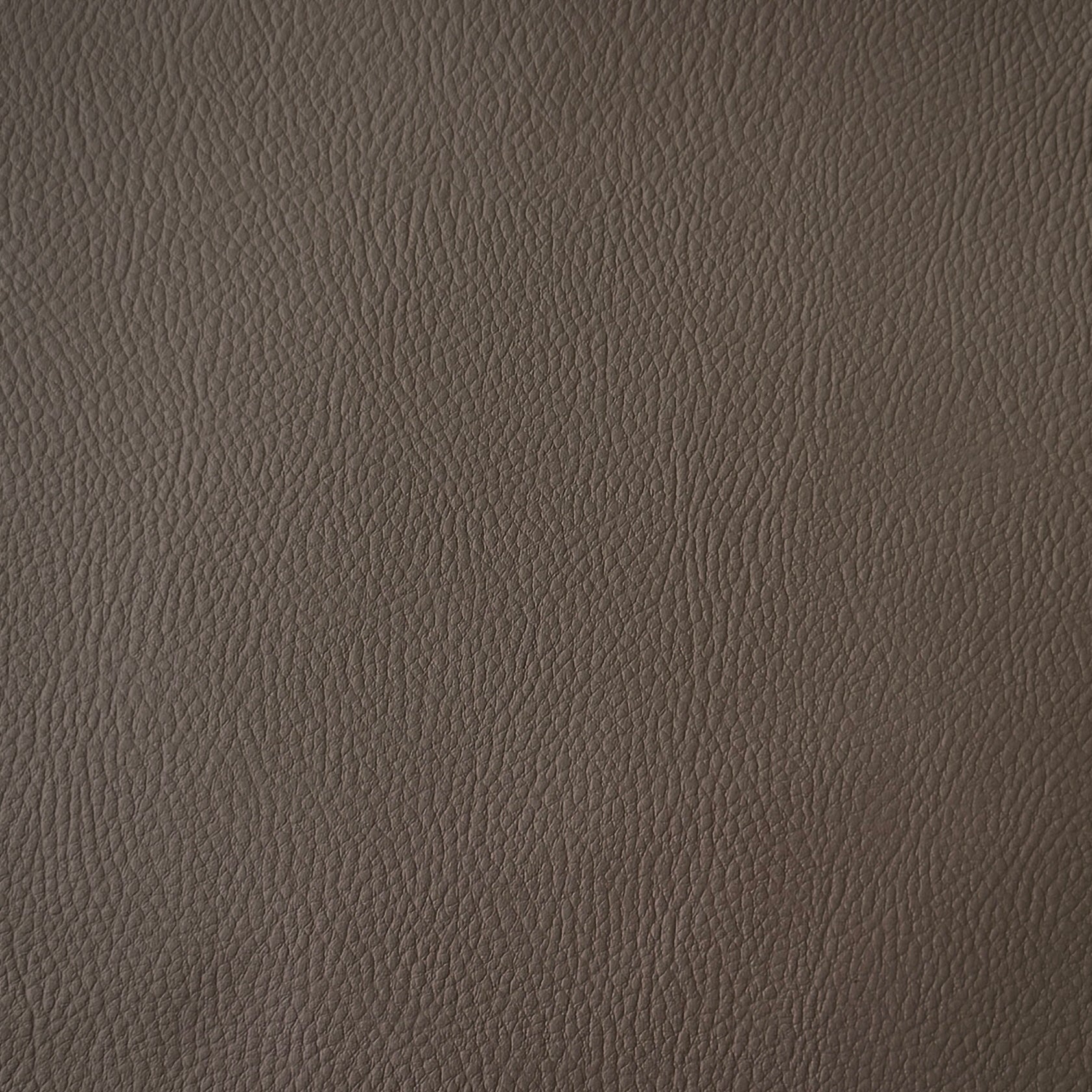 Simili Cuir  / Taupe