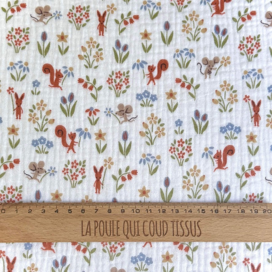 Double Gaze / Ticureuil