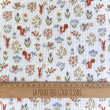 Double Gaze / Ticureuil