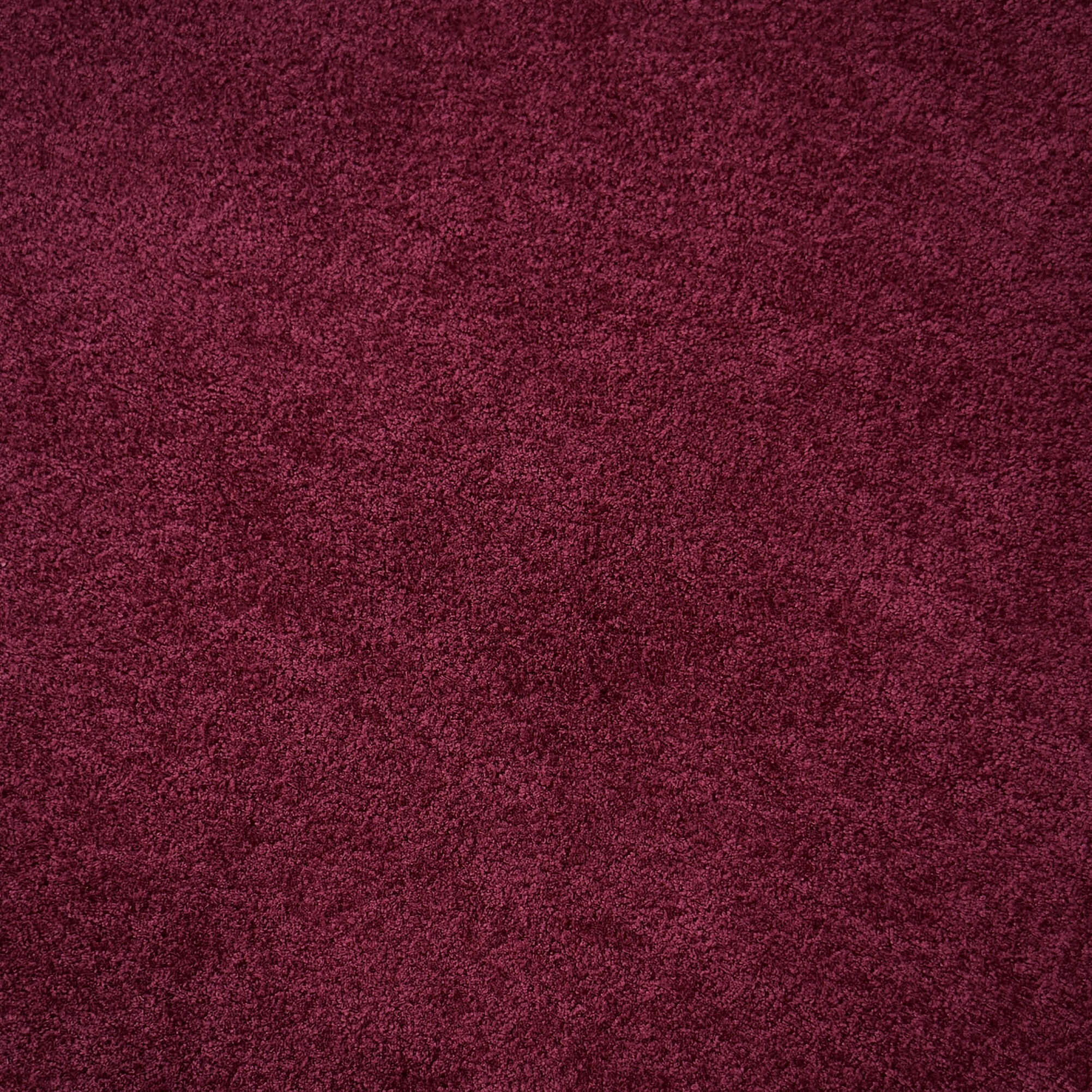 Velours Genova / Lie de Vin