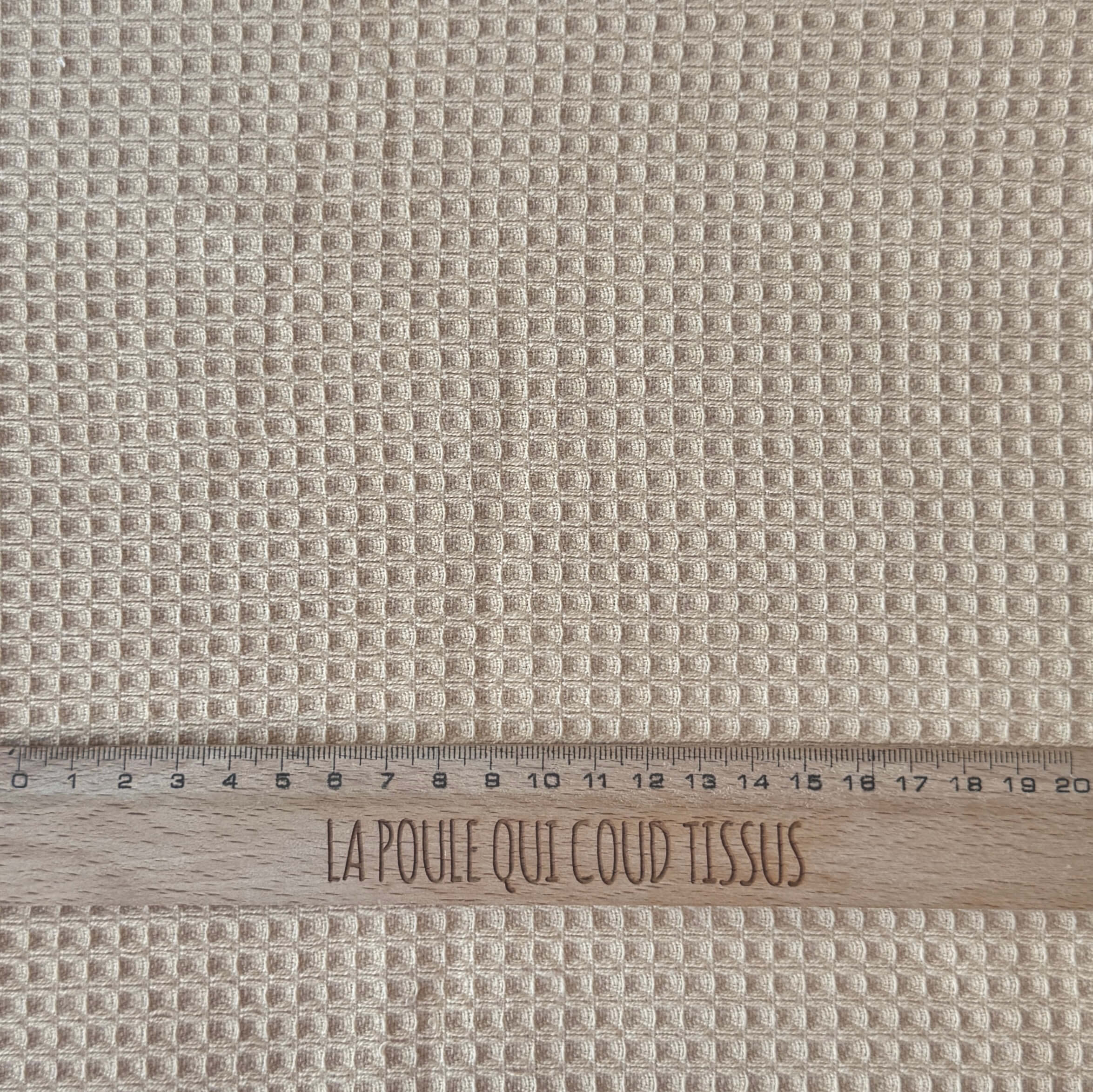 Coupon 70 cm - Nid éponge / Blé