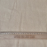 Coupon 60 cm - Nid éponge / Blé