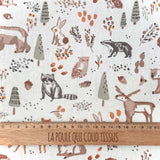 Coton Imprimé / Ottawa