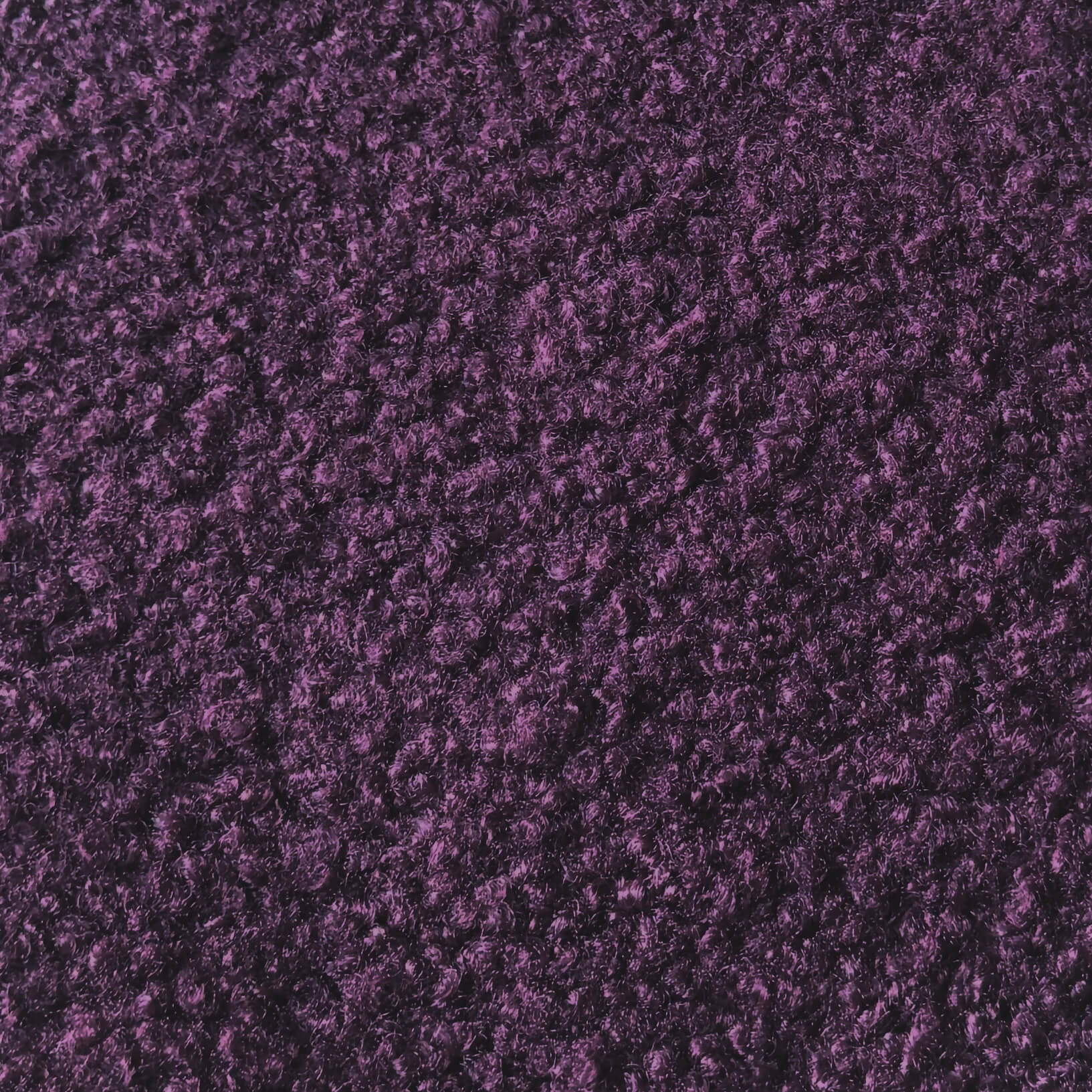 Curly Bouclette / Aubergine