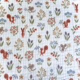 Double Gaze / Ticureuil