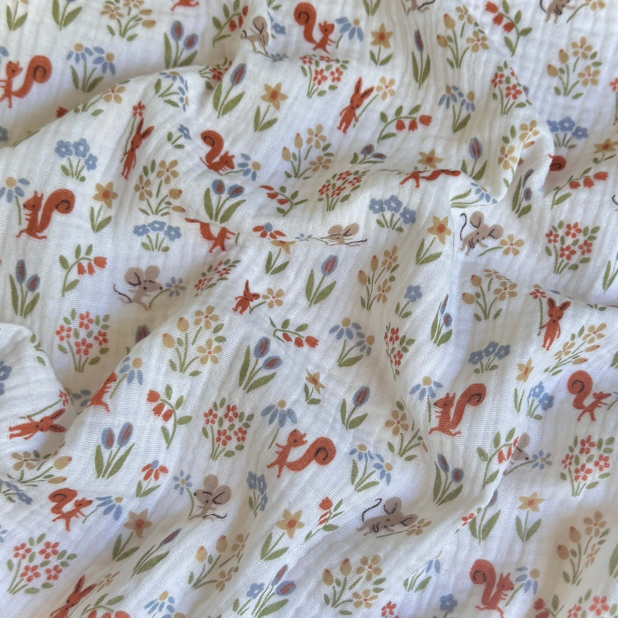 Double Gaze / Ticureuil