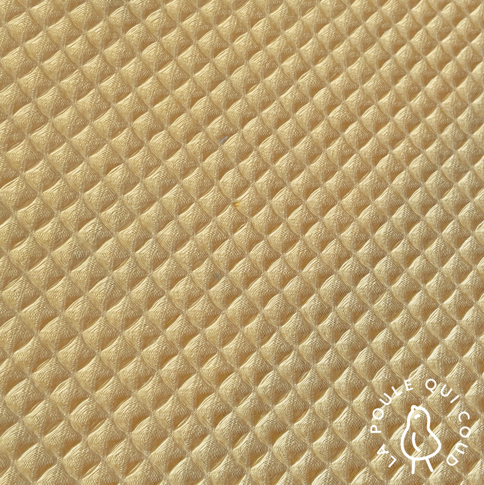 Coupon 50 cm - Nid d'abeille / Vanille