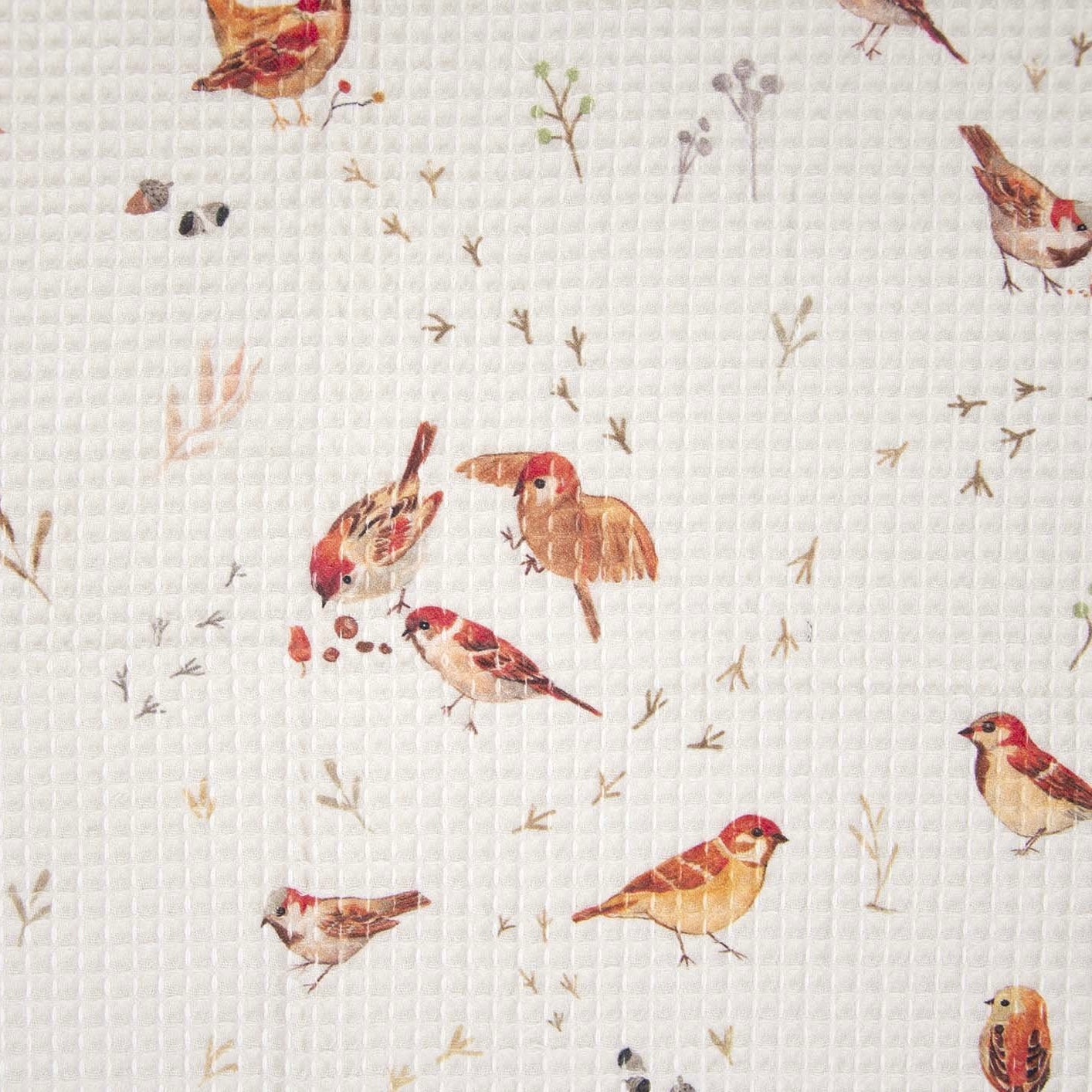 Nid d'abeille imprimé / Petits oiseaux