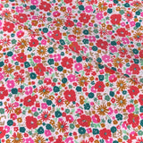 Popeline de Coton / Mizet