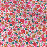 Coupon 1.1 m - Popeline de Coton / Mizet