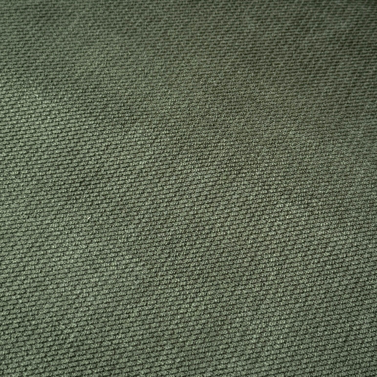 Velours Embossé / Fougère