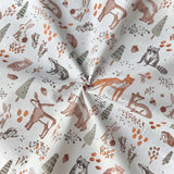 Coton Imprimé / Ottawa