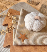 Coupon 70 cm - Velours Côtelé Huggy / Silver