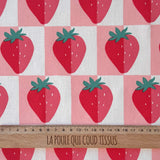 Coupon 1.9 m - Coton enduit / Mariguette