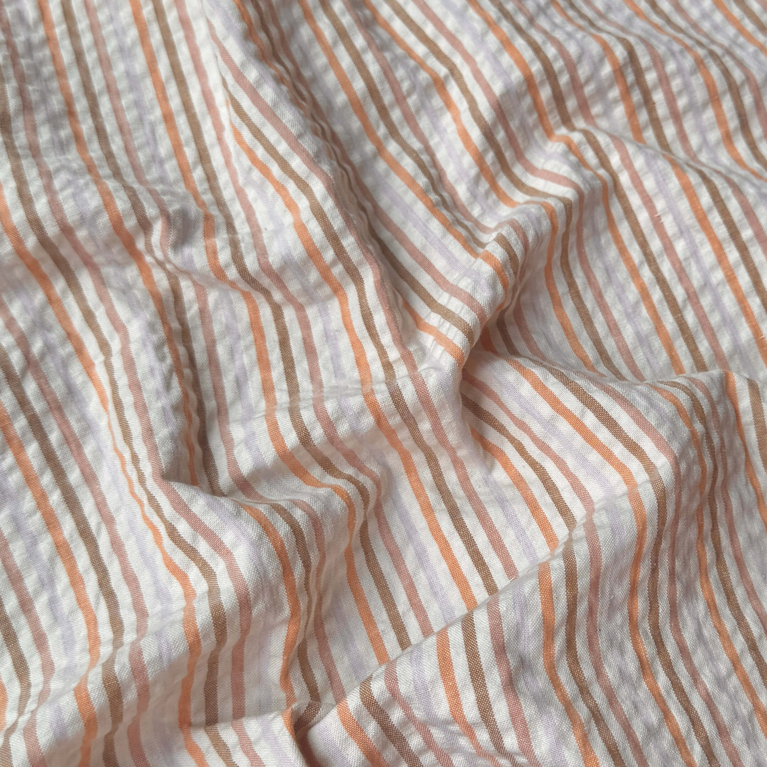 Seersucker / Joe Blanc Ecru - Havane