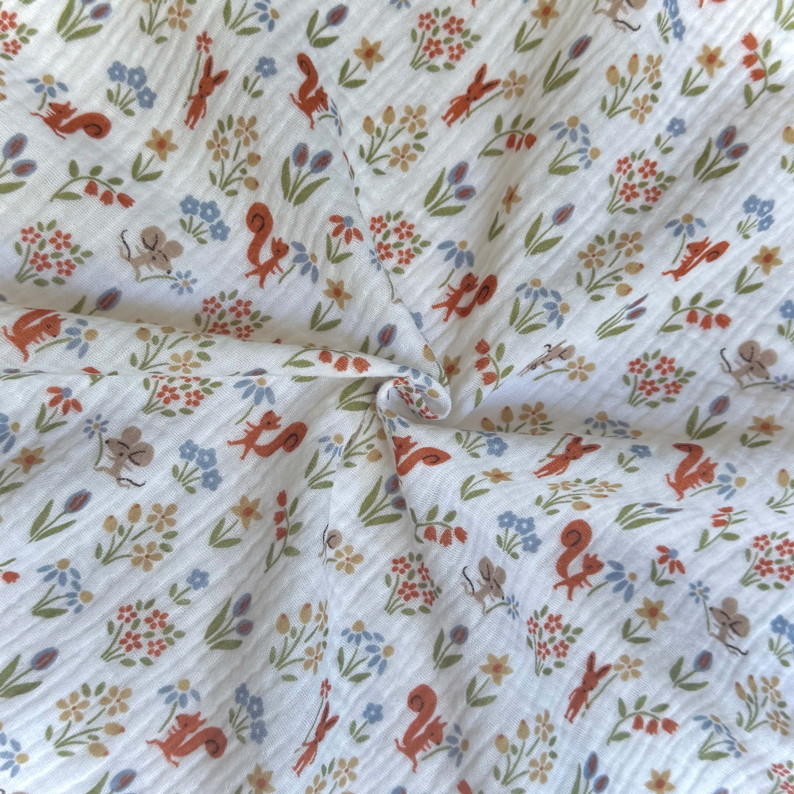 Double Gaze / Ticureuil