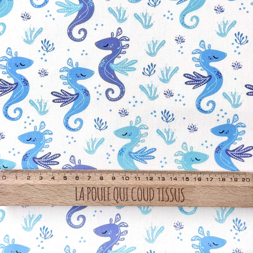Coton Numérique Exclusif LPQC / Hippocampe Bleu