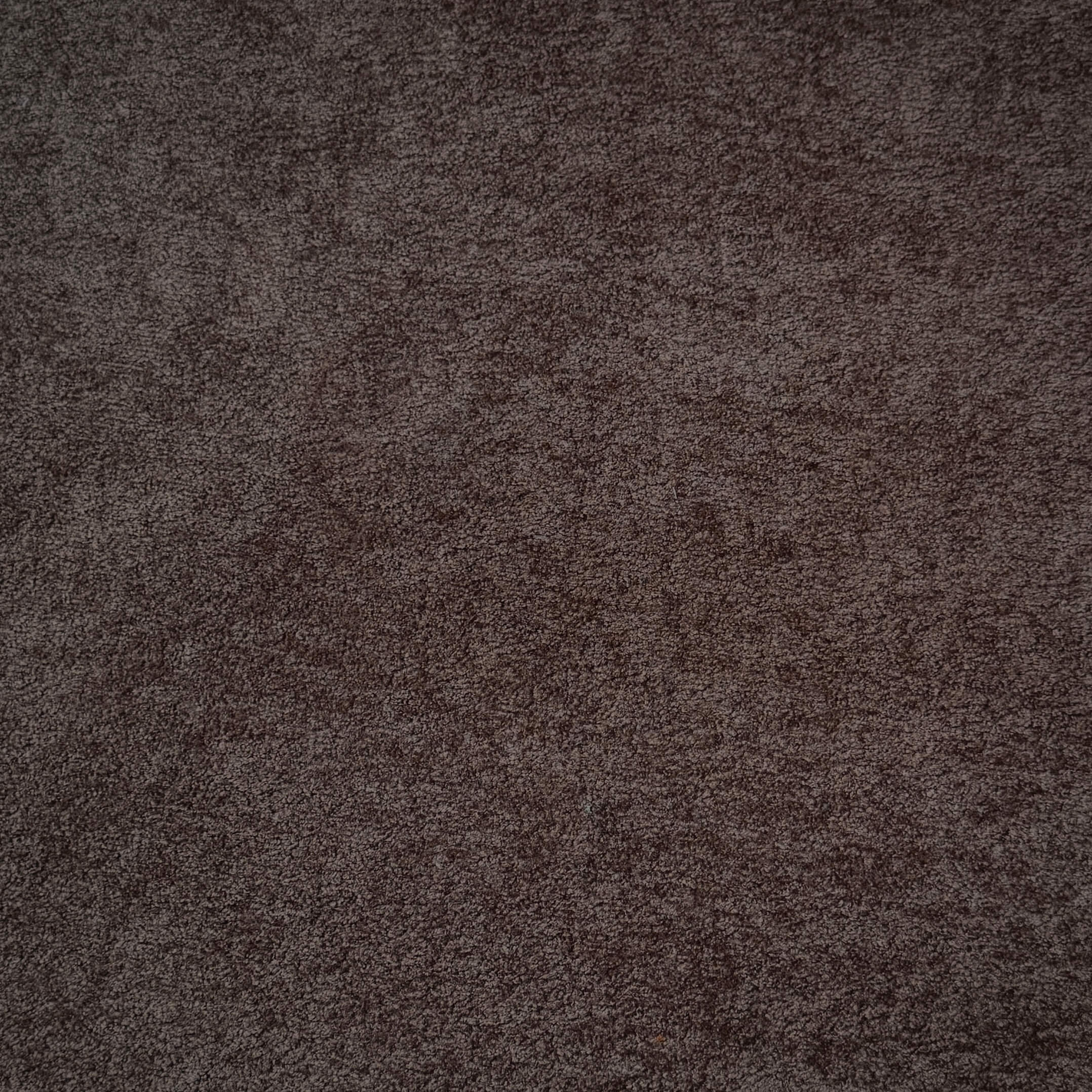 Velours Genova / Chocolat