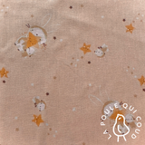 Coupon 1 Mètre - Coton Imprimé / Alino Pêche