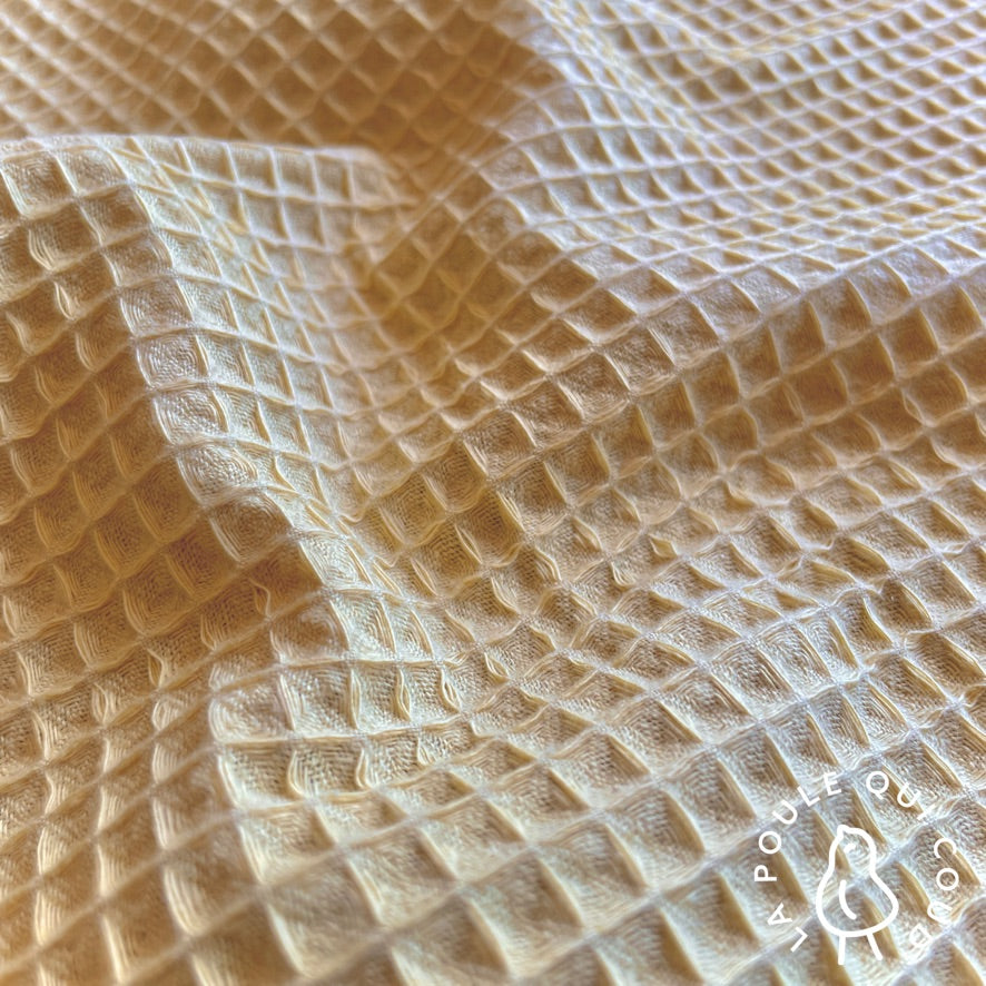 Coupon 50 cm - Nid d'abeille / Vanille