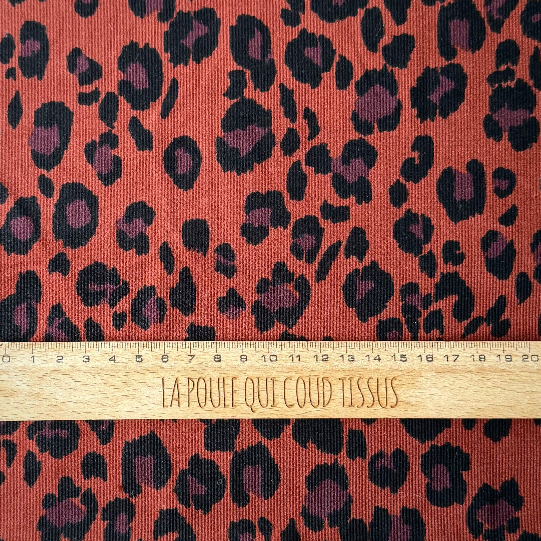 Velours Côtelé 1000 Raies / Azara
