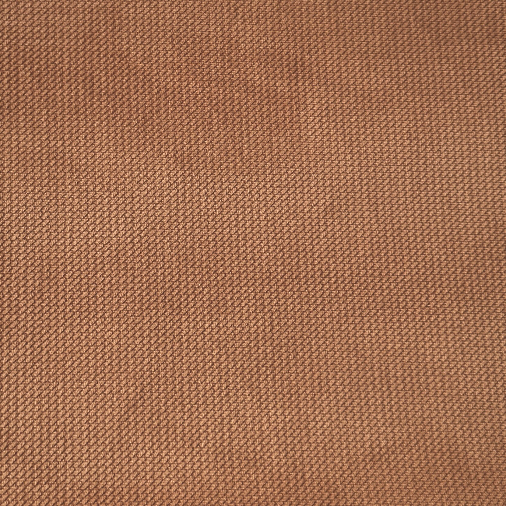 Velours Embossé / Noisette