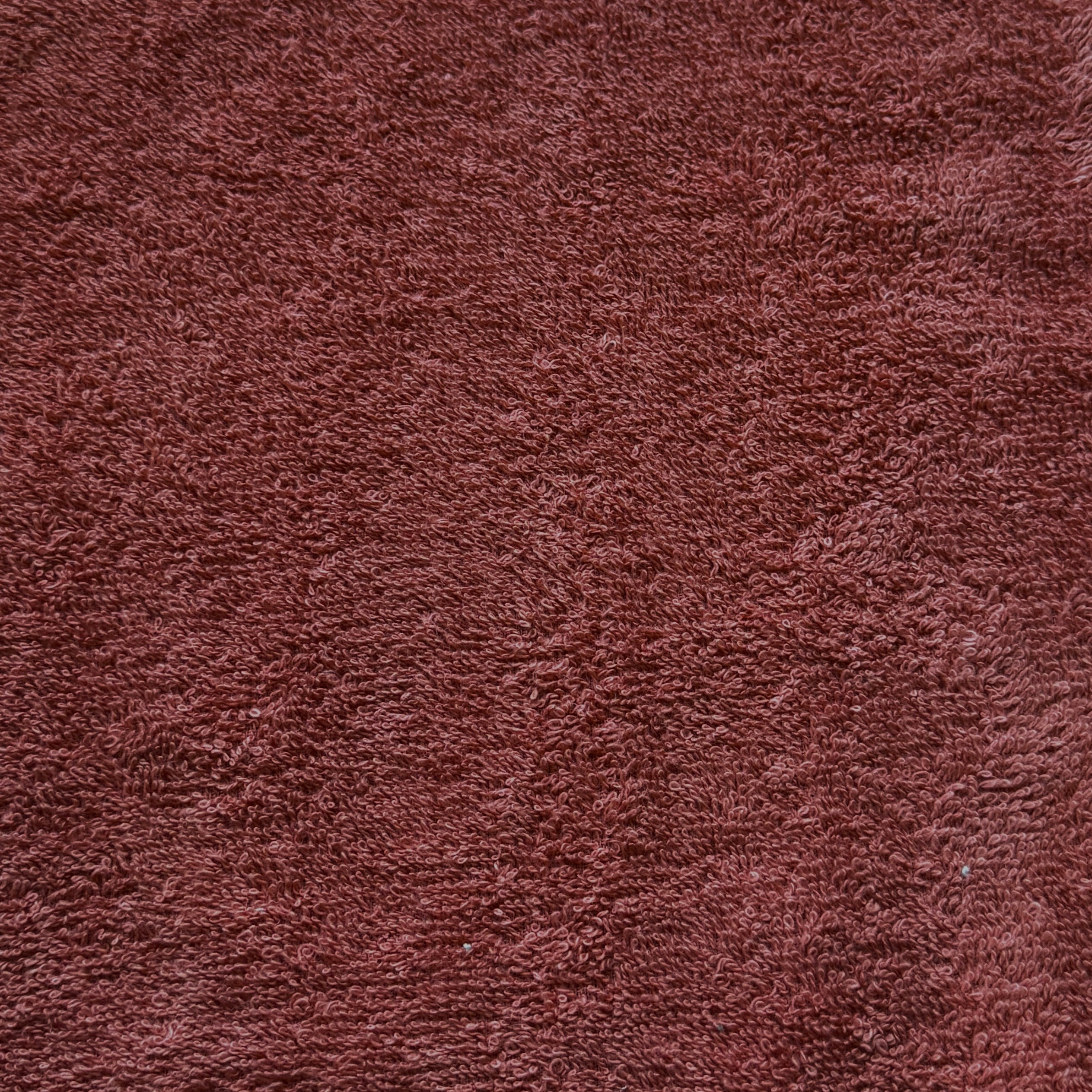 Coupon 1.5 m - Eponge Bouclette 100% Coton  / Marsala
