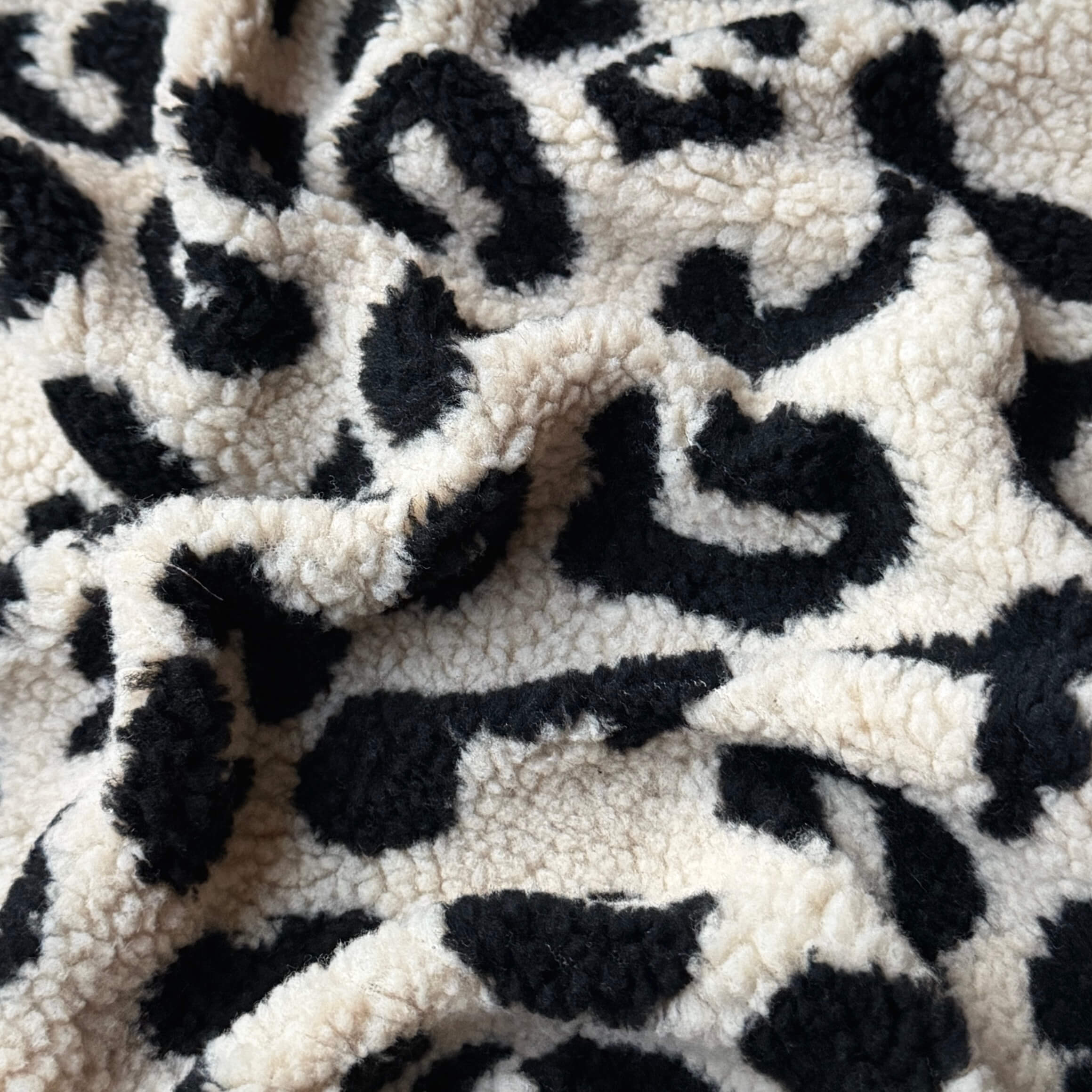 Mouton / Tigrou Noir