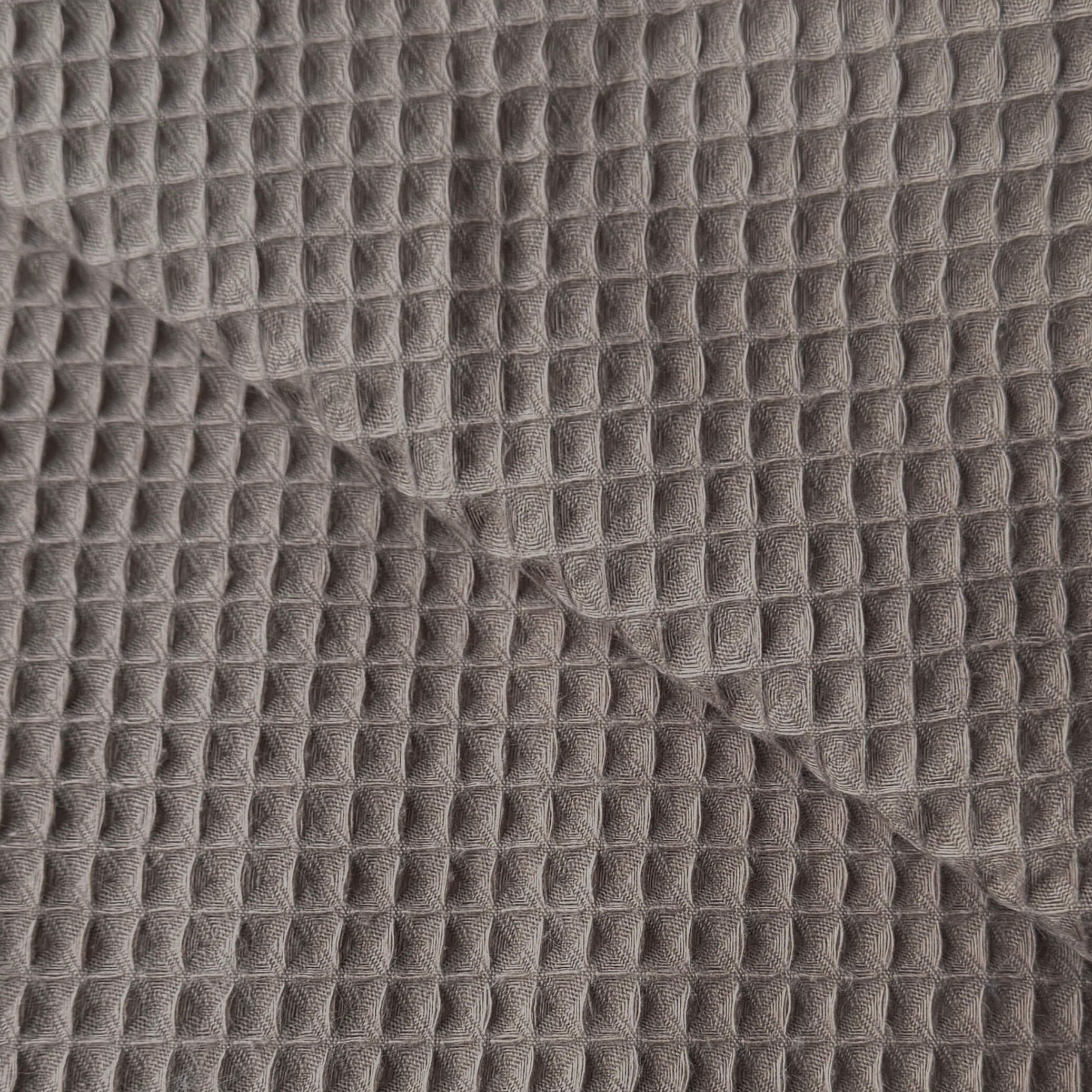 Panal / Moca