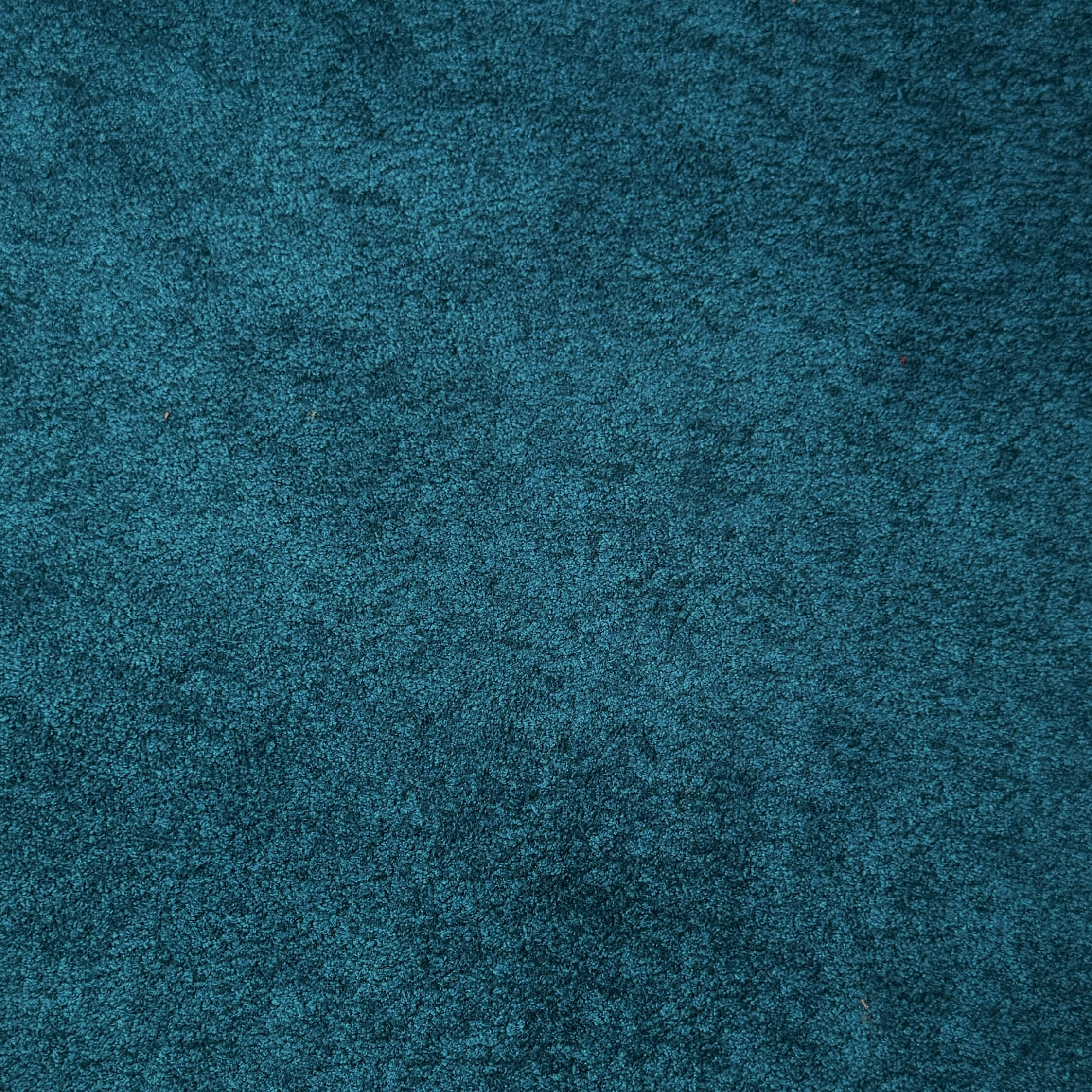 Velours Genova / Canard