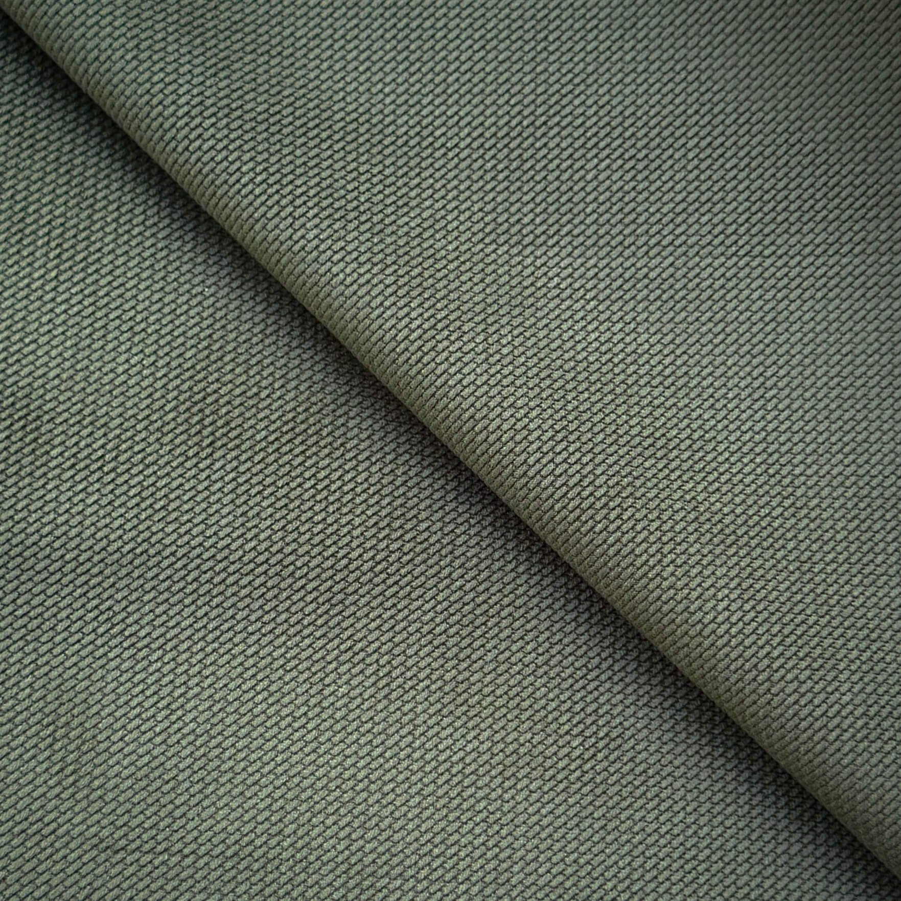 Velours Embossé / Fougère