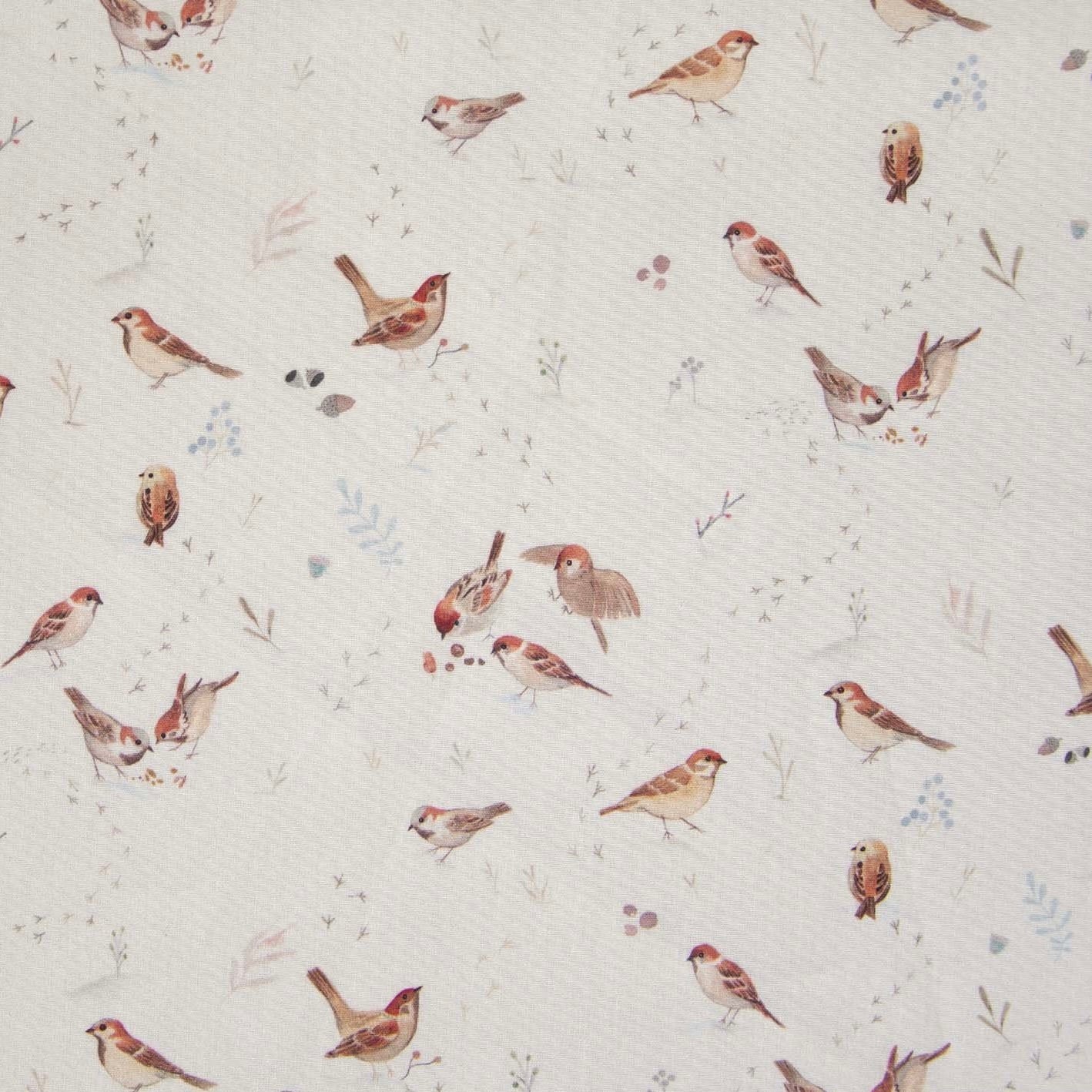 Popeline de coton / Little Birds