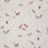 Popeline de coton / Little Birds