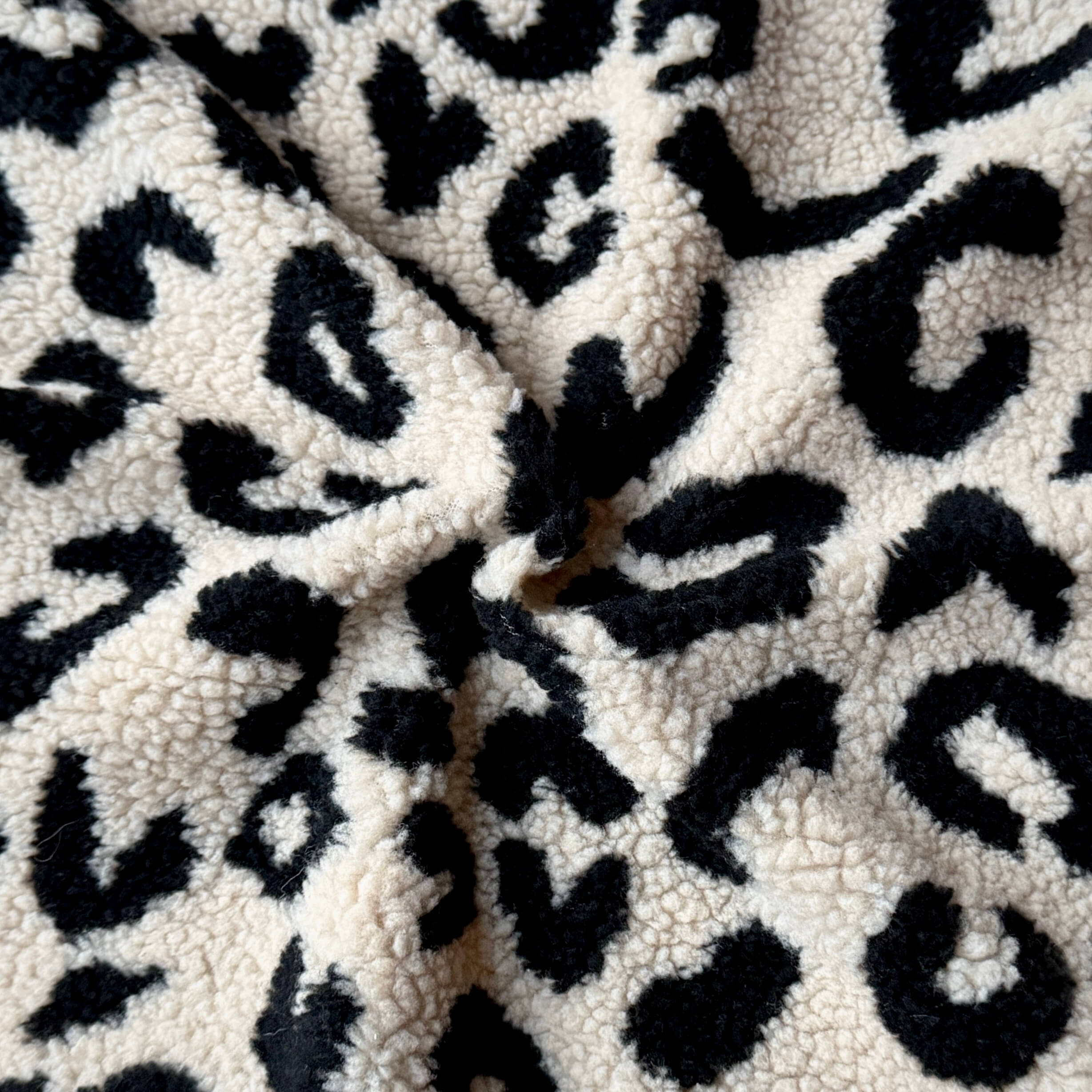 Mouton / Tigrou Noir