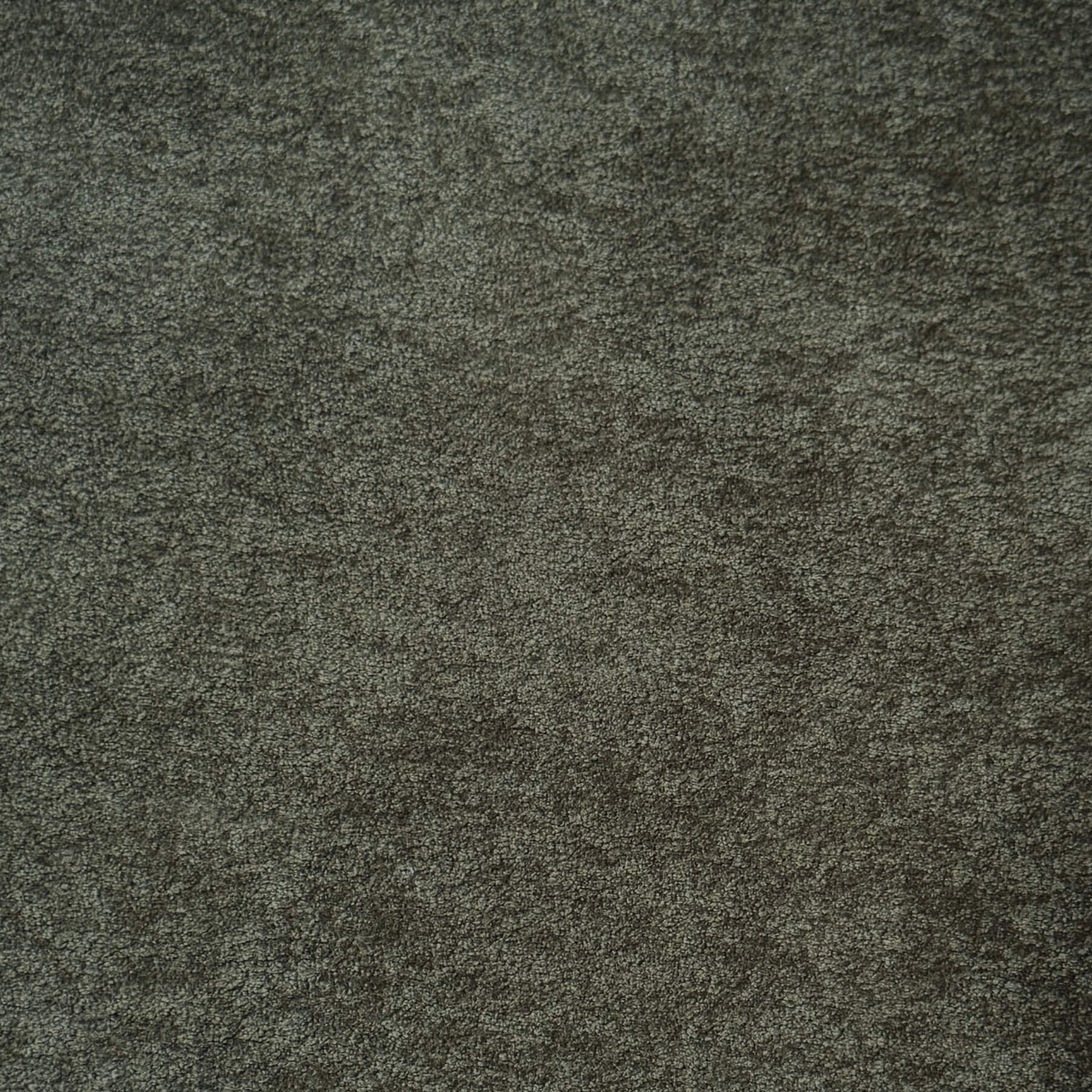 Velours Genova / Kaki