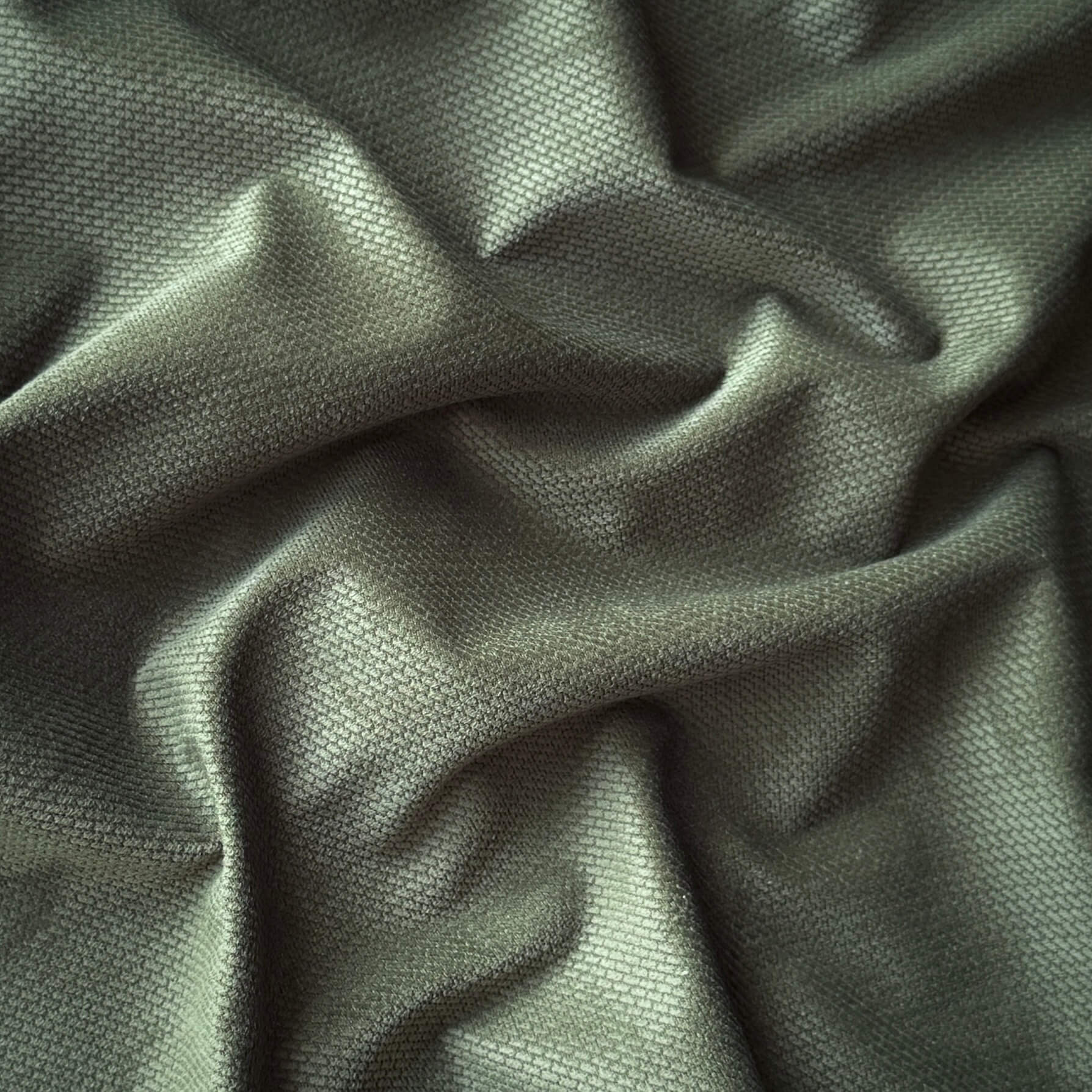 Velours Embossé / Fougère