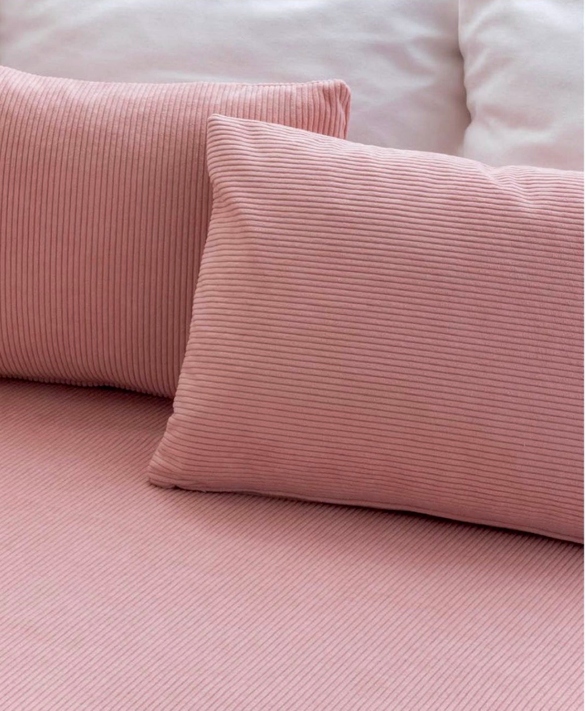 Corduroy Huggy / Palo de rosa