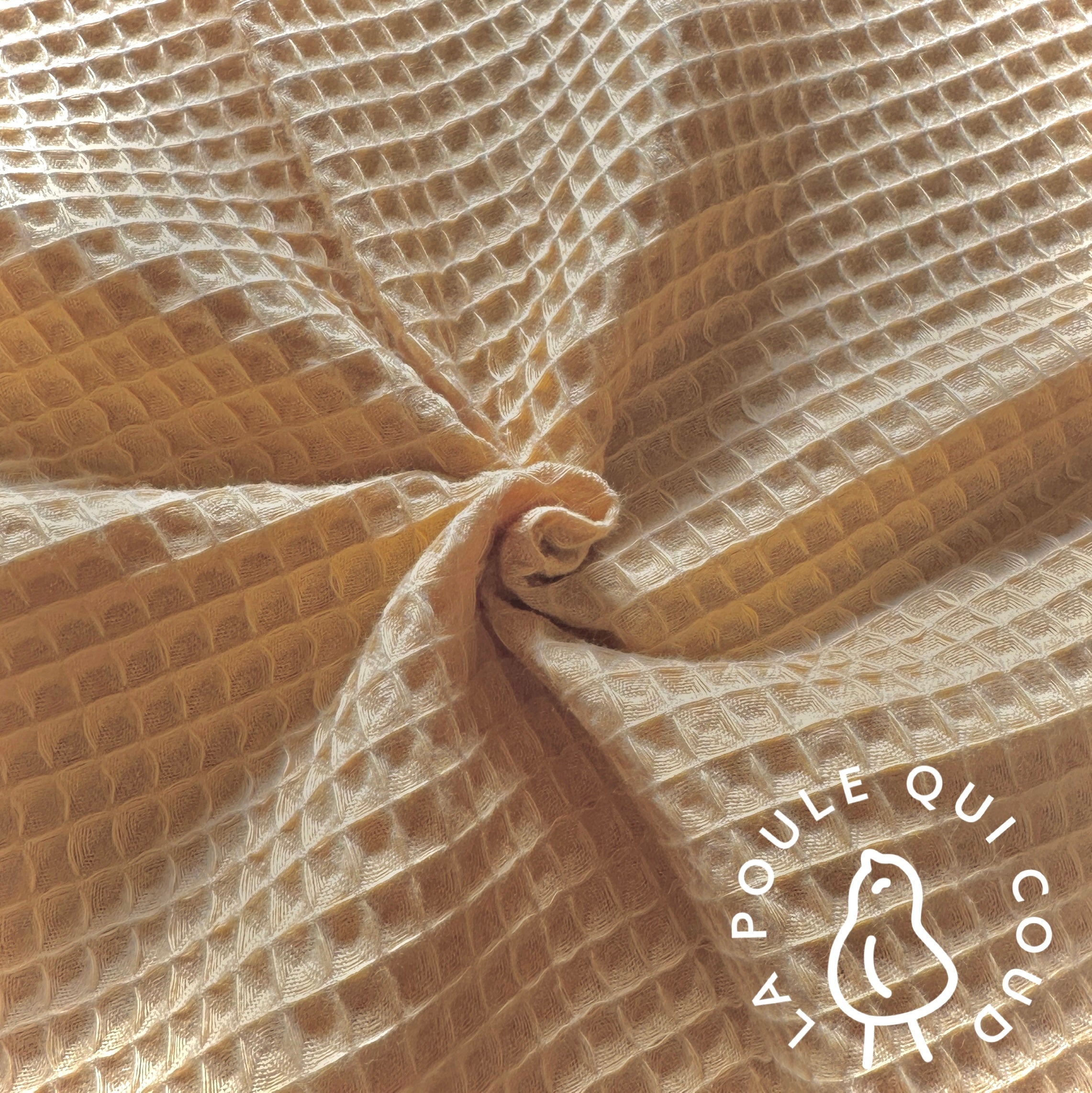 Coupon 60 cm - Nid d'abeille / Blé