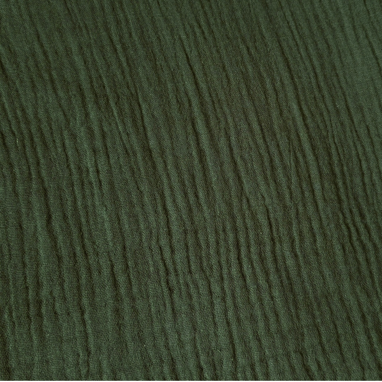 Double Gaze / Fougère