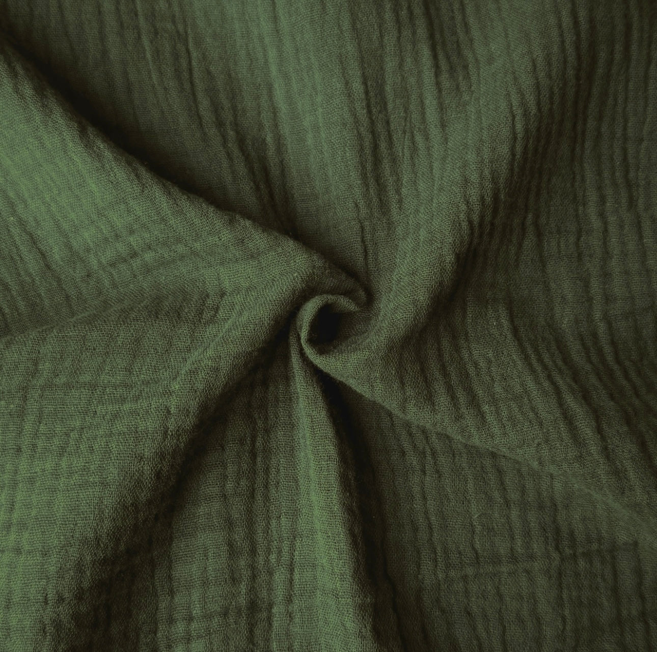 Double Gaze / Fougère