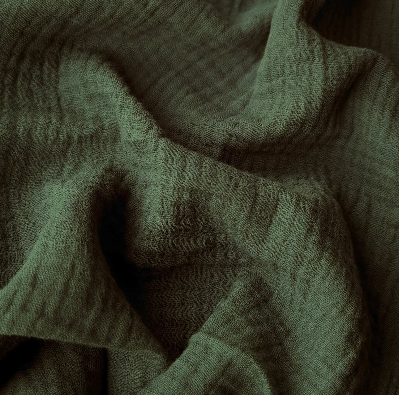 Double Gaze / Fougère